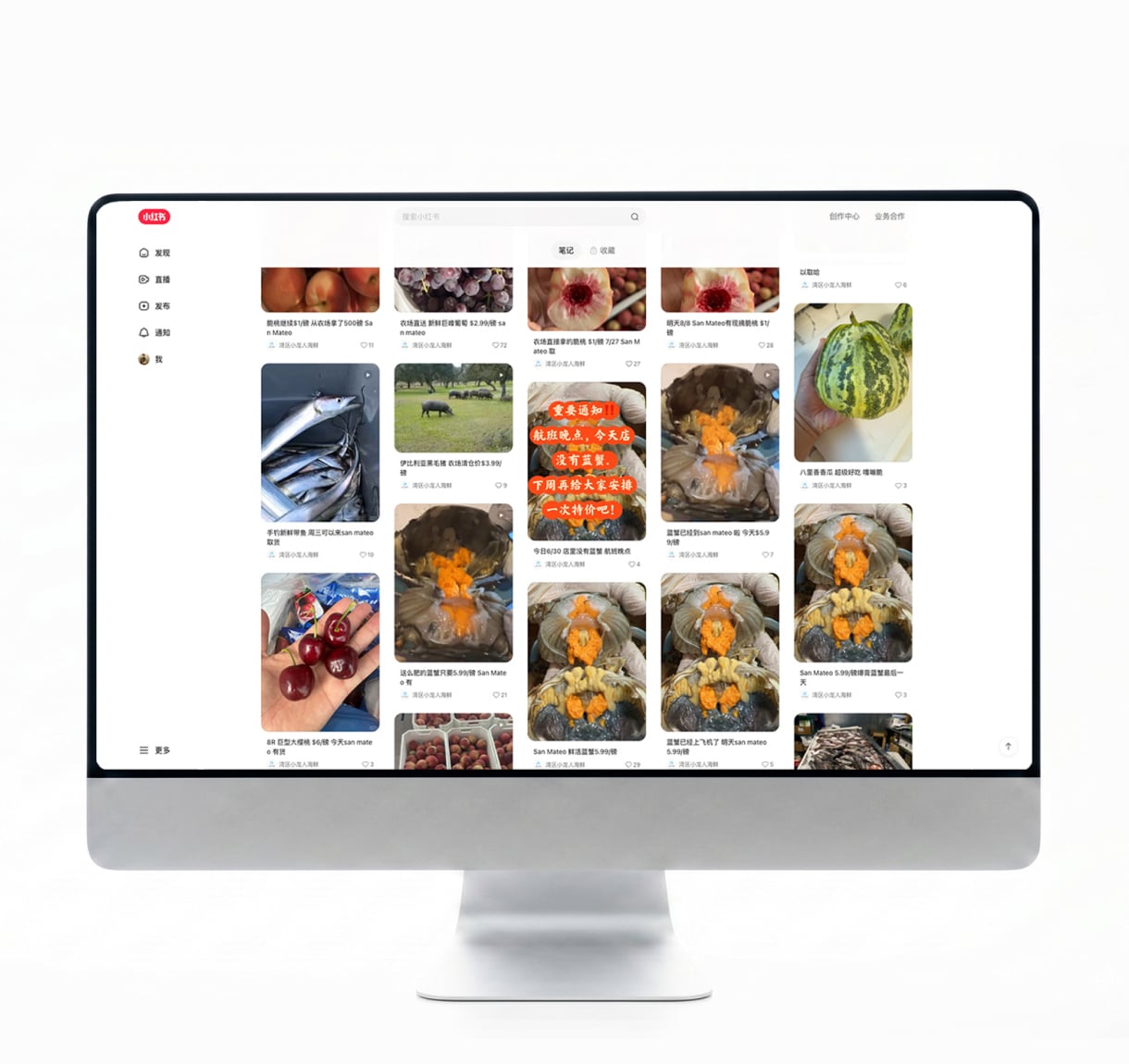Meta Paid Advertising video