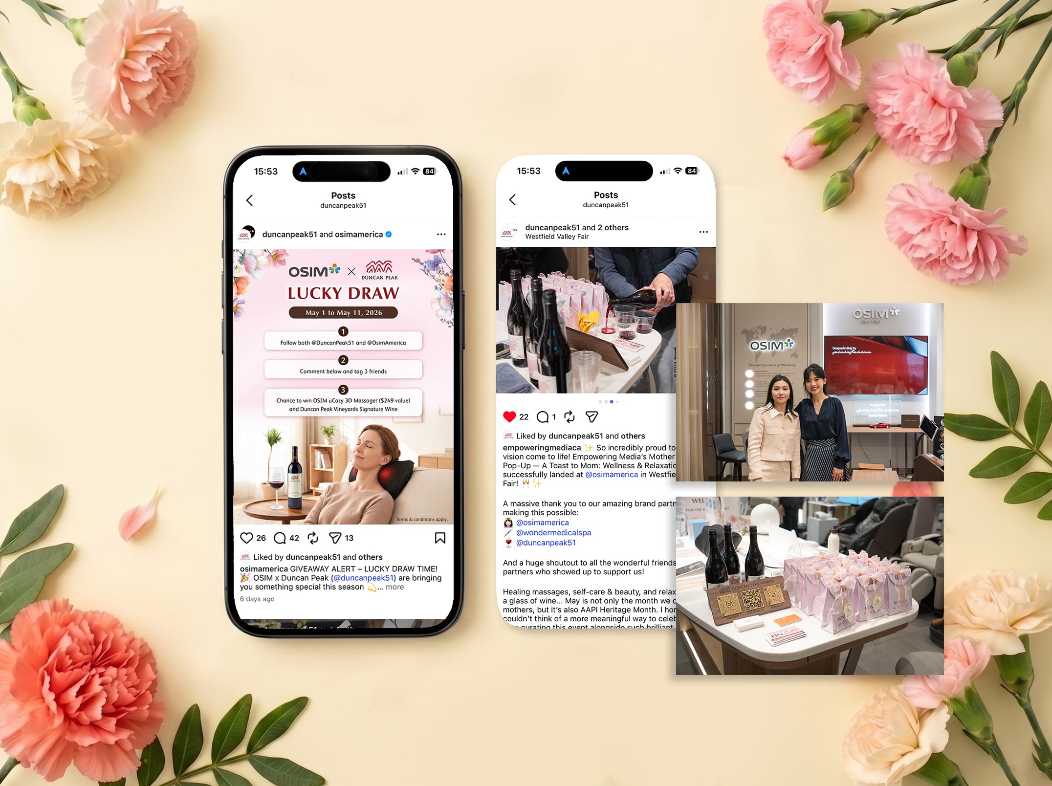 Influencer Partnerships case media