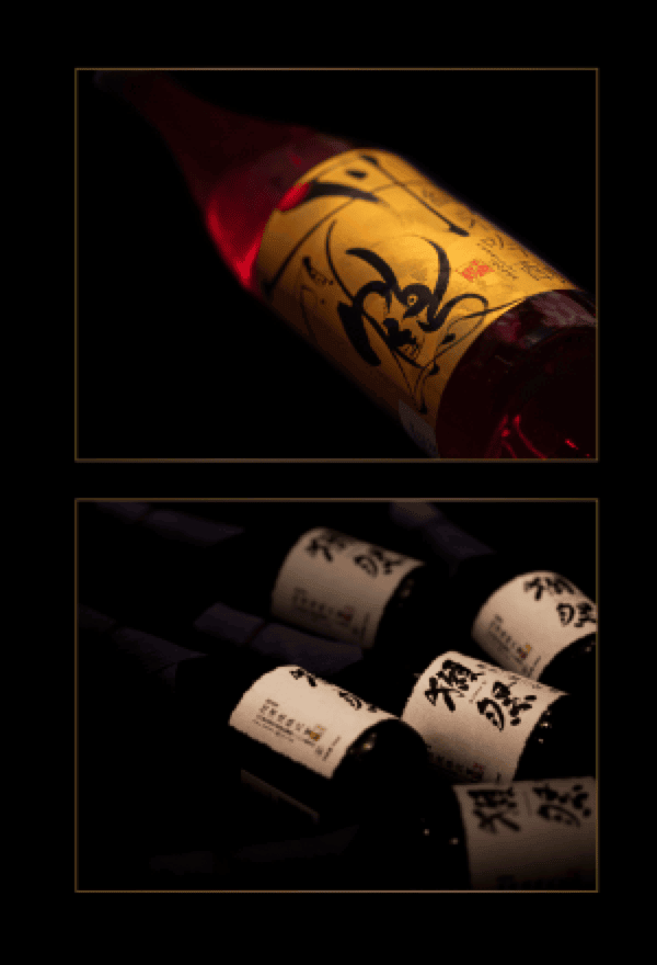 Bushido case study